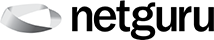 NetGuru